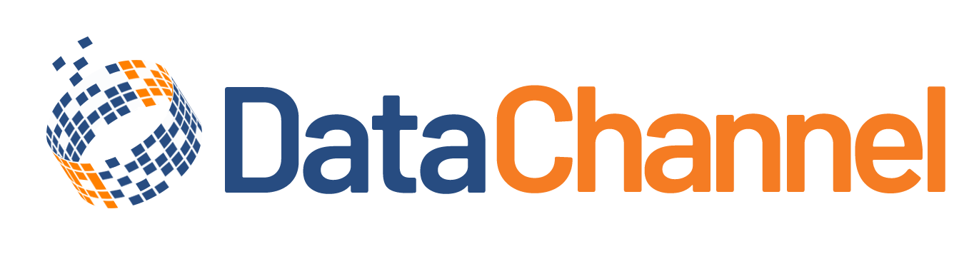 DataChannel Logo